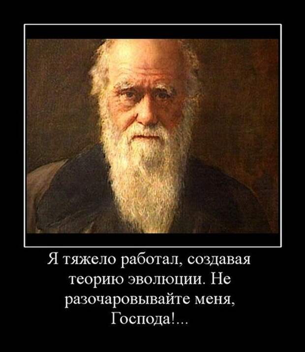 Пятничная подборка демотиваторов демотиватор, юмор