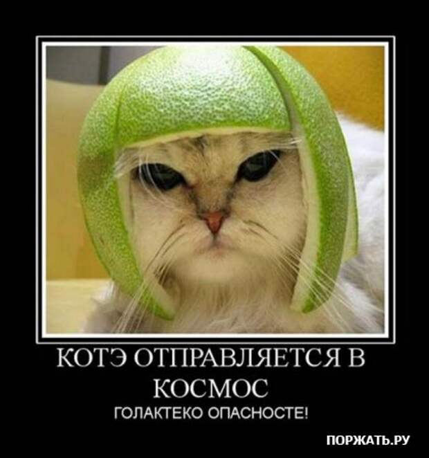 Демотиваторы, не много, но все прикольные!