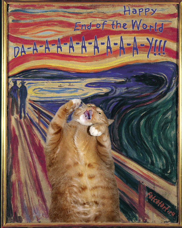 С успешным концом света! влиятельные, живут, коты