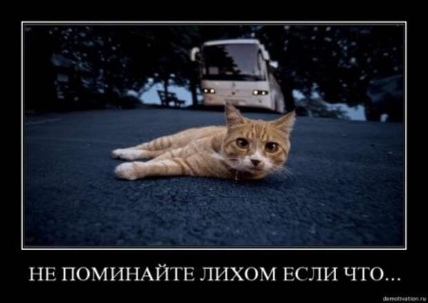 новые демотиваторы со смыслом