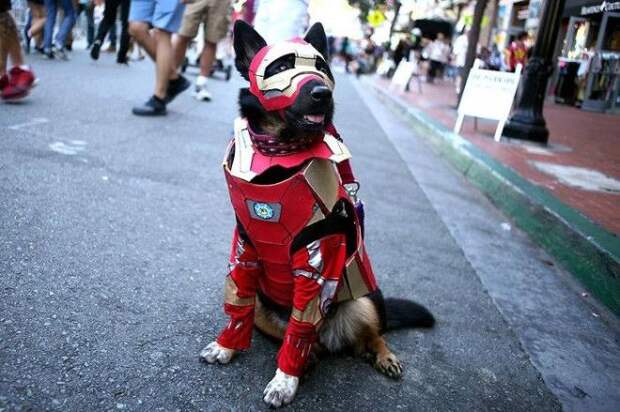 Это лучшие косплеи с ComicCon 2018 участники фестиваля Comic Con 2018