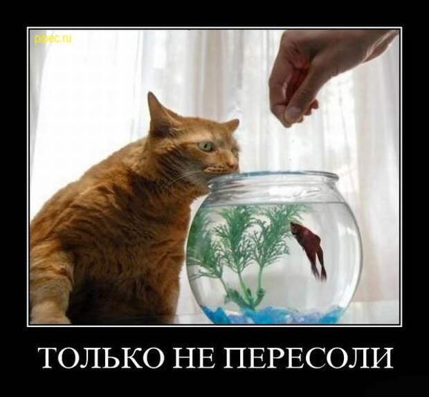 Всех с пятницей !!!! Ура Всех с пятницей !!!! Ура
