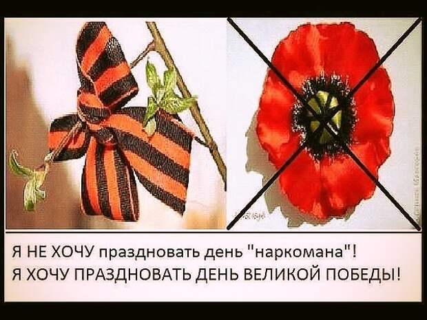 На голову монумента «Родина-мать» в Киеве надели венок из маков 