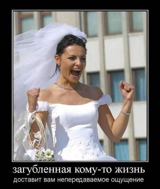 Подборка демотиваторов демотиваторы, юмор
