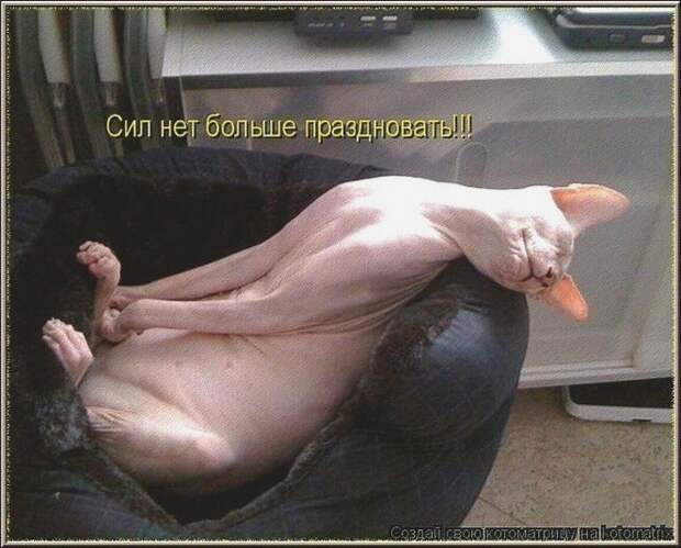 Сил нет больше праздновать!!!...  ПОЗИТИФФ!!!...