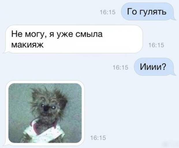 Фото приколы которые веселят.