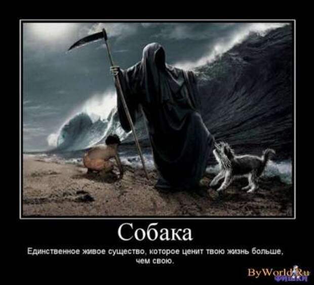 Красивые демотиваторы и серьезные фразы и цитаты со смыслом.