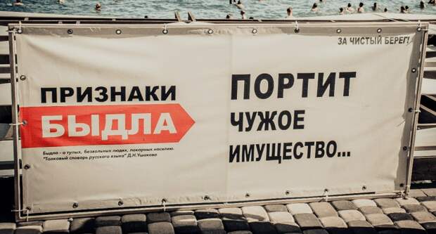 Признаки быдла быдло, грубость, общество, скот, стадо