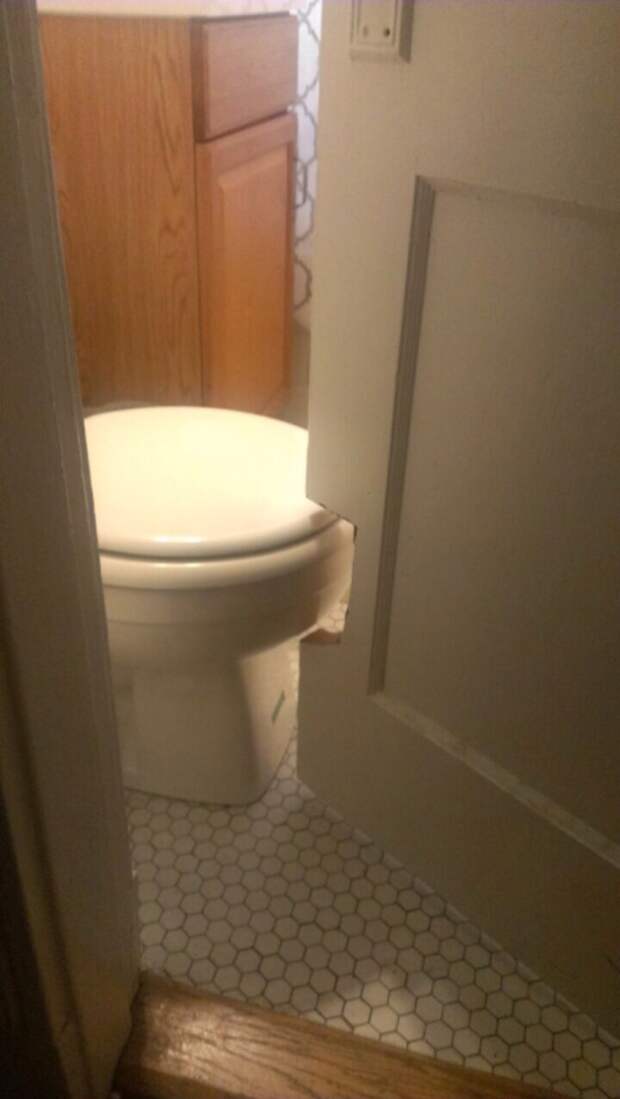 туалетная дверь