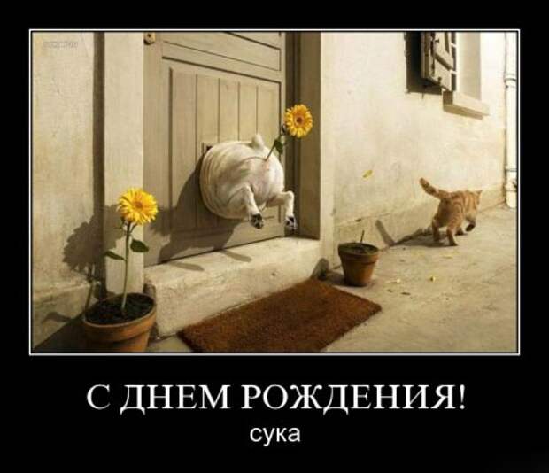Демотиваторов подборка смешная!