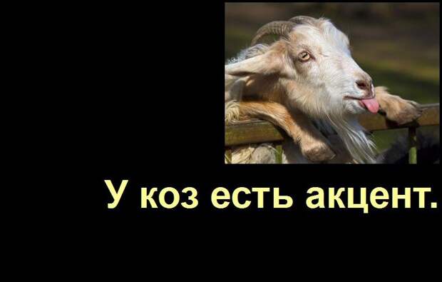 Мир удивителен, господа! Мир удивителен, господа! интересное, мир, невероятное