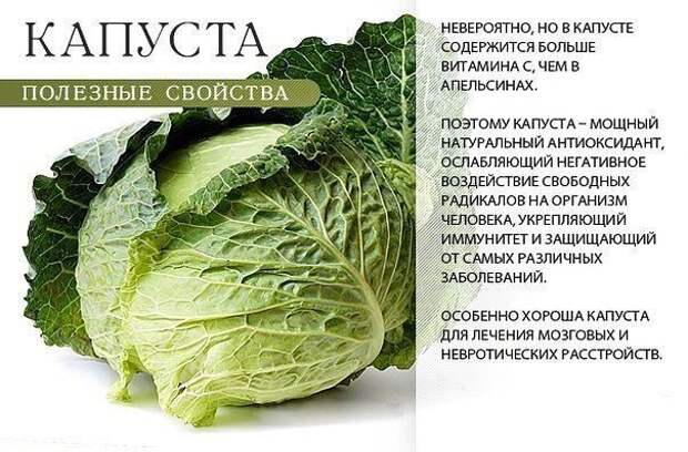 ПОЛЕЗНЫЕ СВОЙСТВА. Лайфхак, ПОЛЕЗНЫЕ СВОЙСТВА, факты