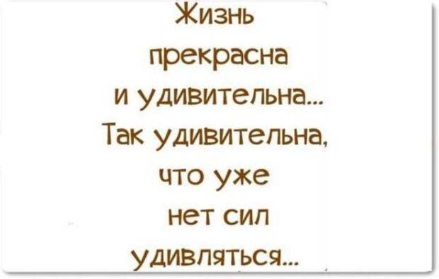 Изумительно смешные и познавательные истории из жизни людей