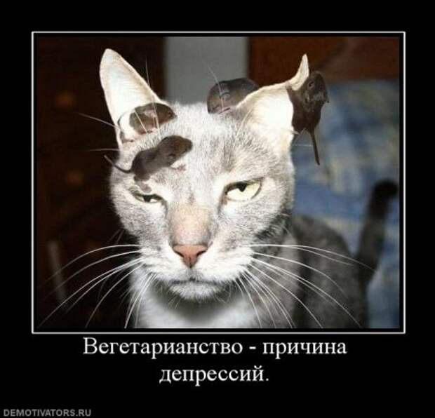 Серьезные и умные демотиваторы.