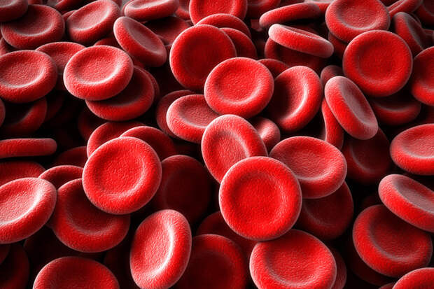 Любопытные факты о крови