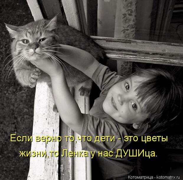 Лучшие котоматрицы недели (50 фото) Лучшие котоматрицы недели (50 фото)