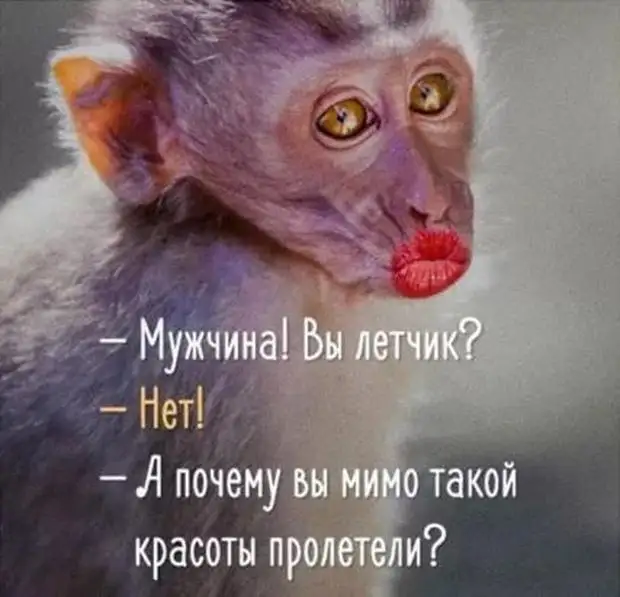 Женщина, заказавшая услугу «Муж на час» для ремонта электропроводки, стала вдовой за двадцать минут Женщина, заказавшая услугу «Муж на час» для ремонта электропроводки, стала вдовой за двадцать минут говорит, желания, только, когда, плечами, девушка, обмен, никогда, сразу, Малыш, много, сосед, выбрал, трудовик, сколько, именно, такой, вылез, Этого, мужик