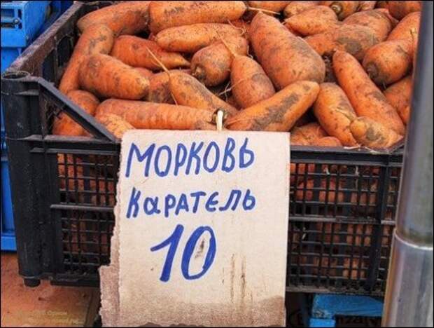 Смешные вывески и надписи, которые можно встретить в магазинах (34 фото)