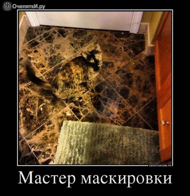 Дружба решает всё! 11