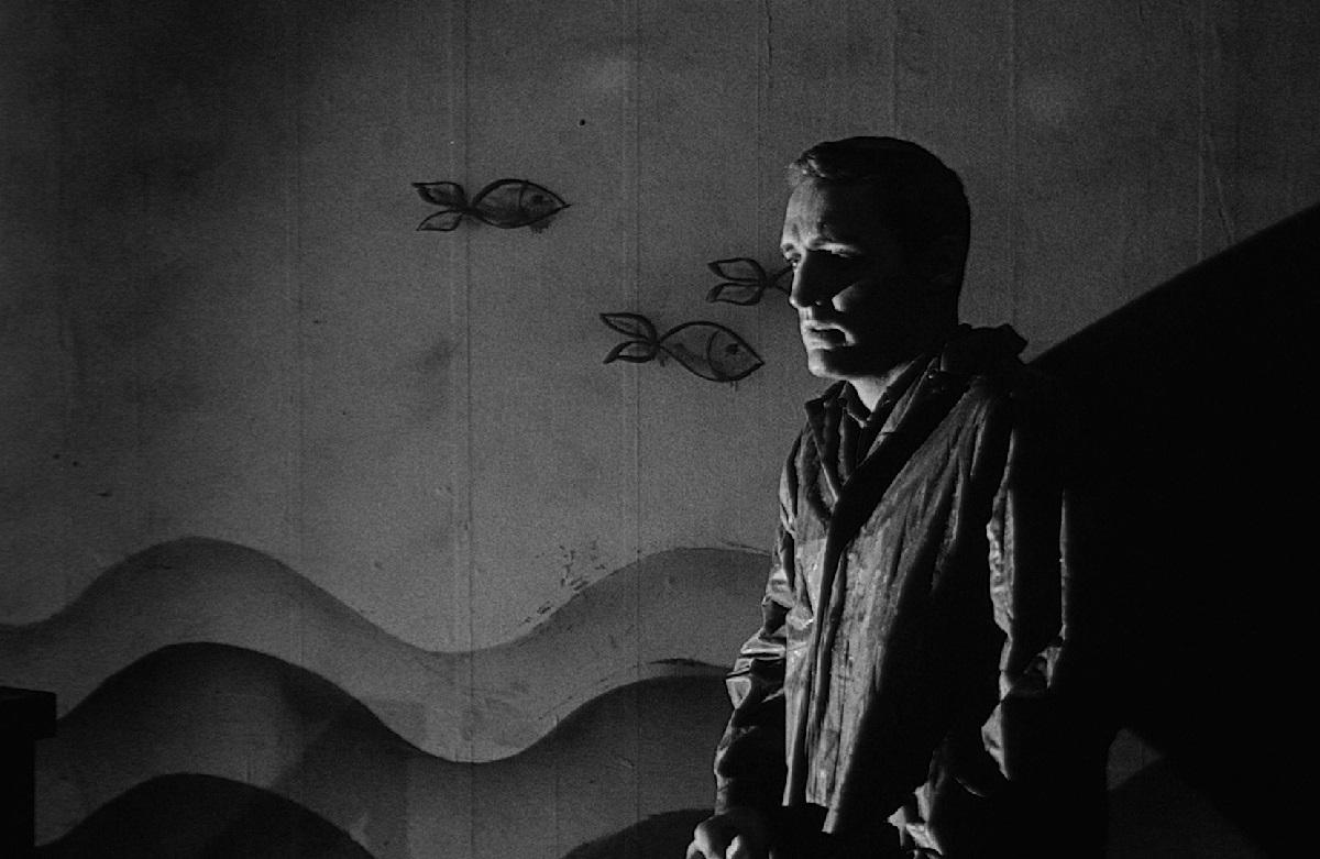 Фильмы. Кадр: Phoenix Films