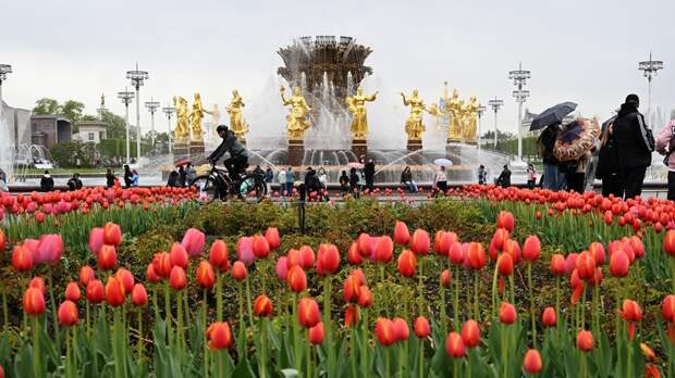 Короткие майские — 2026: как отдыхаем, главные события и идеи для выходных