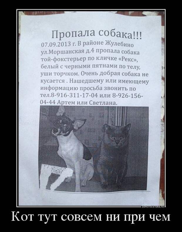 Демотиваторы демотиваторы