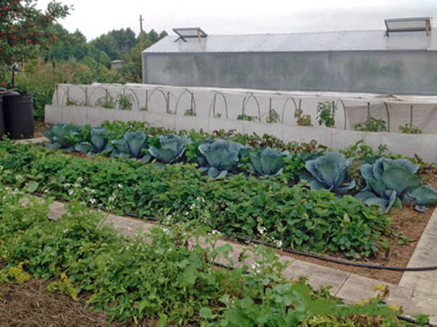 По шесть соток каждому: американцы делят Россию