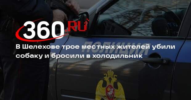 В Шелехове трое местных жителей убили собаку и бросили в холодильник