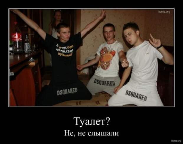 Демотиваторы приколы новые.
