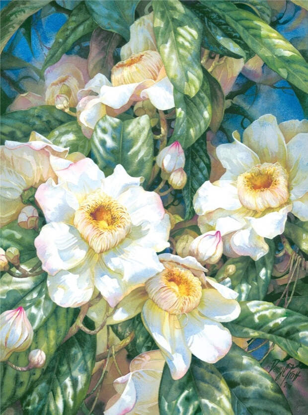 Цветы, акварель.Художник Darryl Trott Цветы, акварель.Художник Darryl Trott