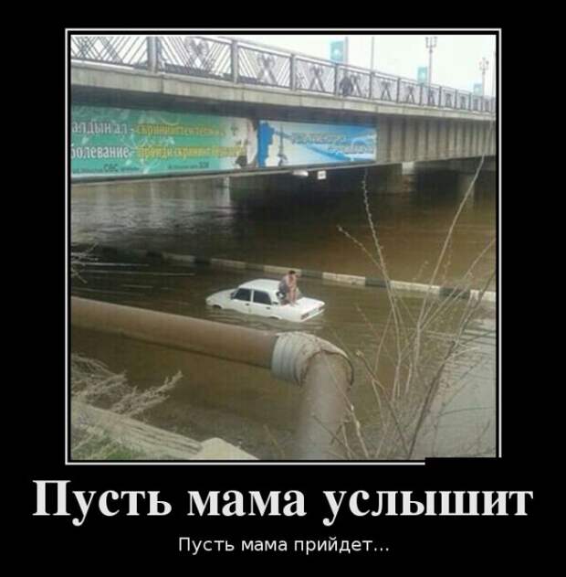 Подборка  демотиваторов демотиваторы, юмор