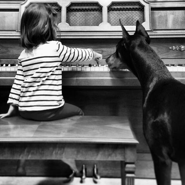 Играют на пианино девочка, доберман, дружба
