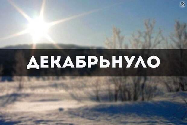 Курьёзы с разных концов света 34