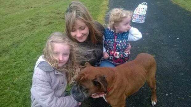 Собака, по кличке Белла, ждала свою страшную участь на дне колодца, когда на помощь к ней пришла 6-летняя девочка