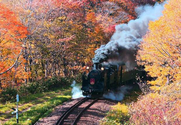 Осень в Японии 2015 2015 осень япония, алая осень японии, дегустация осени в японии, красные клены японии, момидзи, момидзи 2015, момидзи-гари, осень в японии, осень по-японски, осень-японии, тур в японию, японки, японская осень 2015