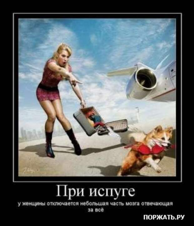 Демы свеженькие