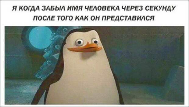 Me when I forgot the name of the person a second after he/she introduced him/herself мемы, прикол, юмор
