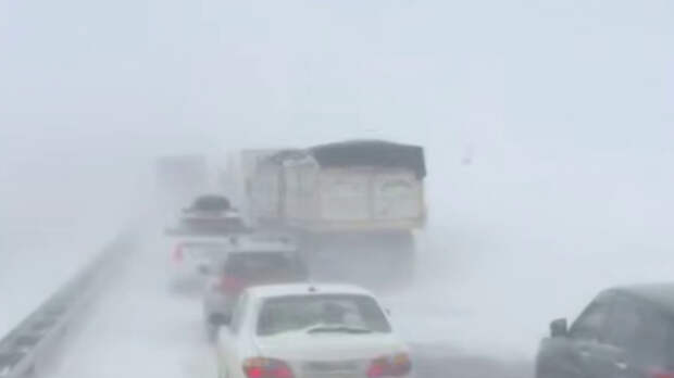 "Ничего не видно". Поездка по трассе Новосибирск — Бийск в метель превратилась в испытание