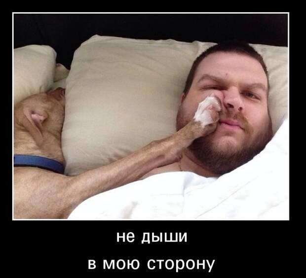 Пятничная подборка демотиваторов  демотиватор, юмор