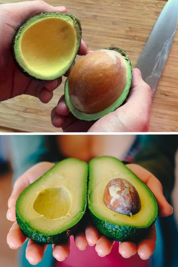 Испорченный авокадо в разрезе как выглядит фото