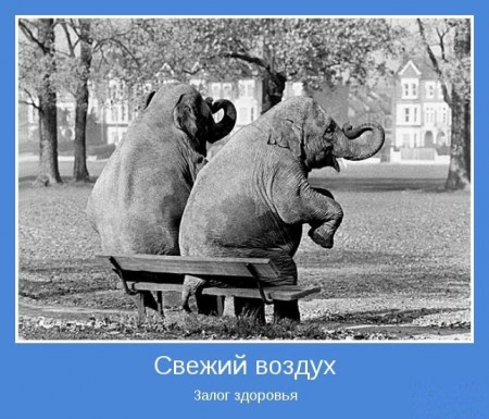 мотиваторы