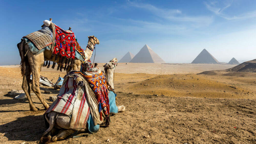 Guide-to-Cairo-Egypt-Giza-pyramids-camels