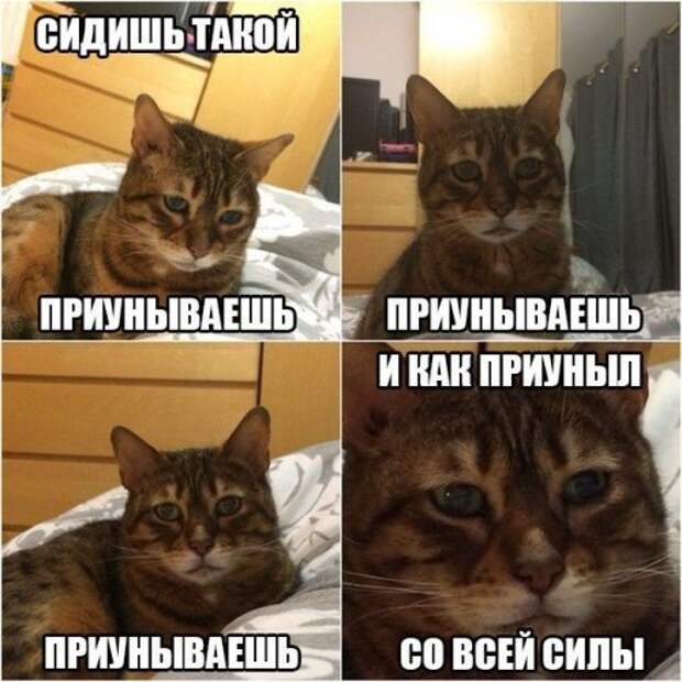 Фото-приколы для настроения (44 шт)