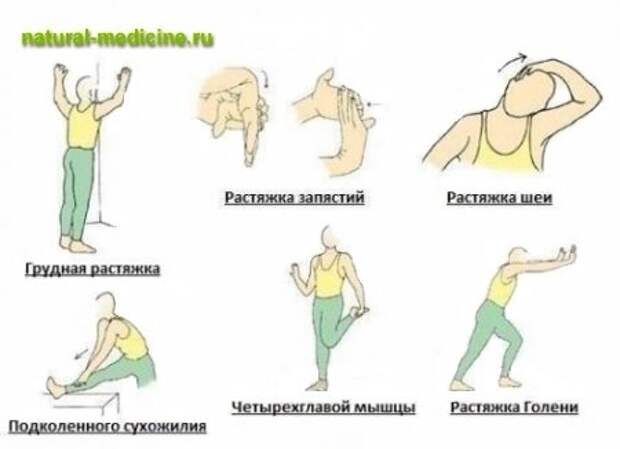 Растяжка после тренировки. Упражнения для растяжки мышц после силовой тренировки. Растяжка подколенных сухожилий упражнения. Растяжка в конце силовой тренировки мышц. Растяжка подколенных мышц.