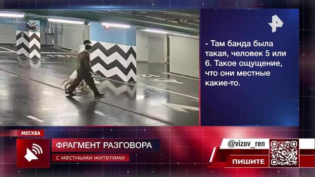 Компания людей выгуливала львенка среди колясок и прохожих в Москве