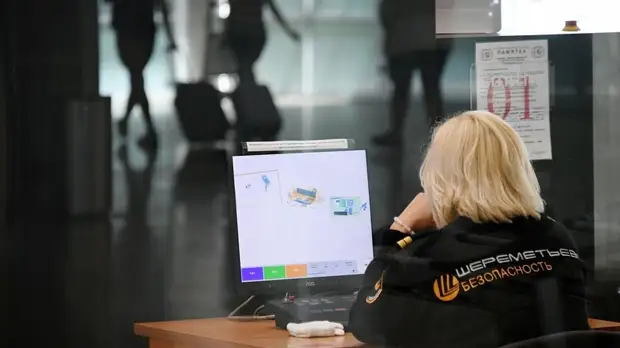 В Шереметьеве назвали причину очереди на входе в аэропорт