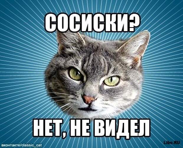 Мем: Типичный Кот