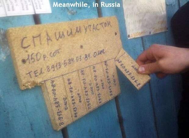 Забавные надписи и объявления надписи, объявления, смешно