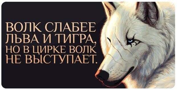 Всяко - разно 6  )))
