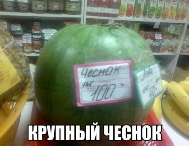 Фразы в картинках
